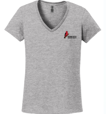 A picture of a women's V-neck heather gray t-shirt with the world's coolest logo--that is, our logo--printed on the right chest. This is just one of many apparel options available at Kabrics.