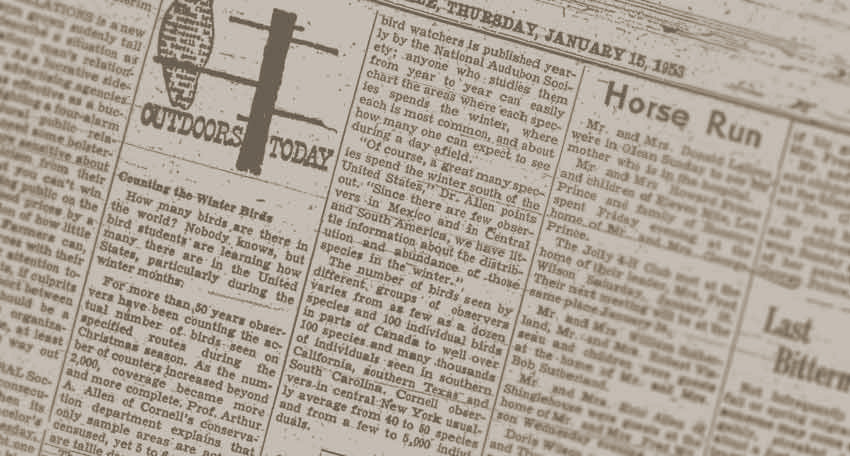 A picture of a newspaper from January 15, 1953. The text overlay reads: Established March 27, 1950. I actually found this newspaper in an archive and it is indeed an article about the Chemung Valley Audubon chapter published in 1953, not that most folks will notice. But YOU will know the secret, because you actually read the ALT text. The button link here has the text: About CVAS.