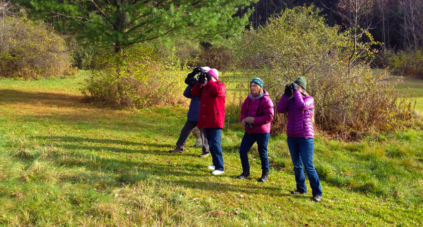 A picture of a group of birders with binoculars in a beautiful field, likely doing birding things, because birds (like birders) are awesome. The words: Programs for All Ages appears on the image with a button to click on labeled Educational Programming.