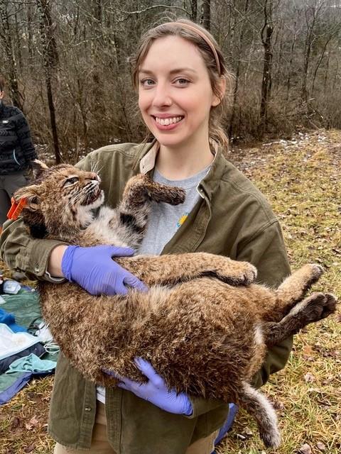Haley Turner smiles broadly as she cradles a large bobcat in her arms. The bobcat looks thrilled. That is to say, the bobcat looks as though their next meal is cradling them in her arms and is baring their teeth in appreciation.
