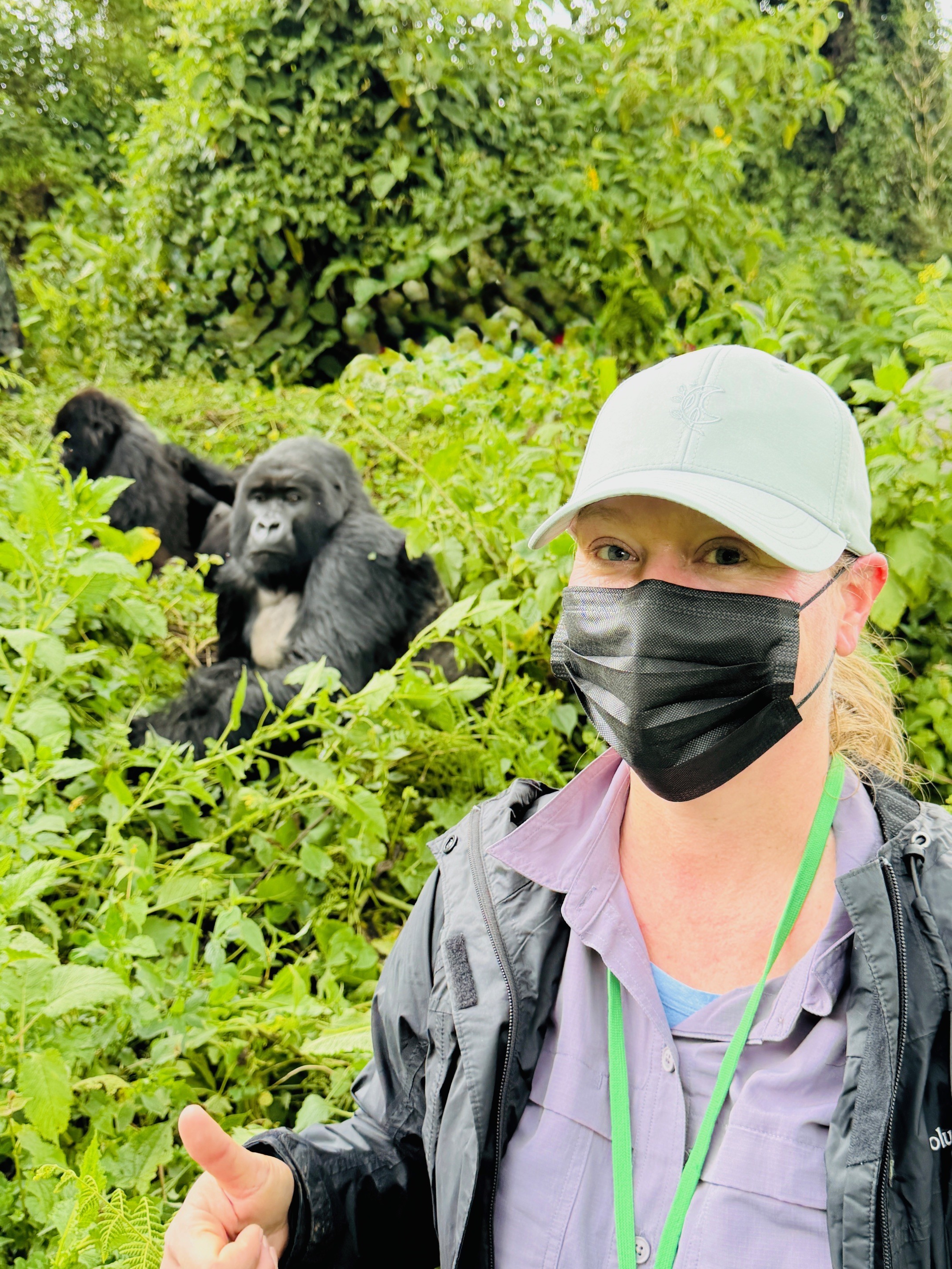 Erica Shirley is in the foreground. Behind her, several gorillas are, perhaps, bird watching.
